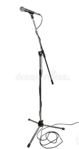 Picture of Hire a microphone and stand